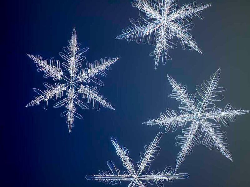 These Are the Highest Resolution Photos Ever Taken of Snowflakes | Innovation | Smithsonian Magazine